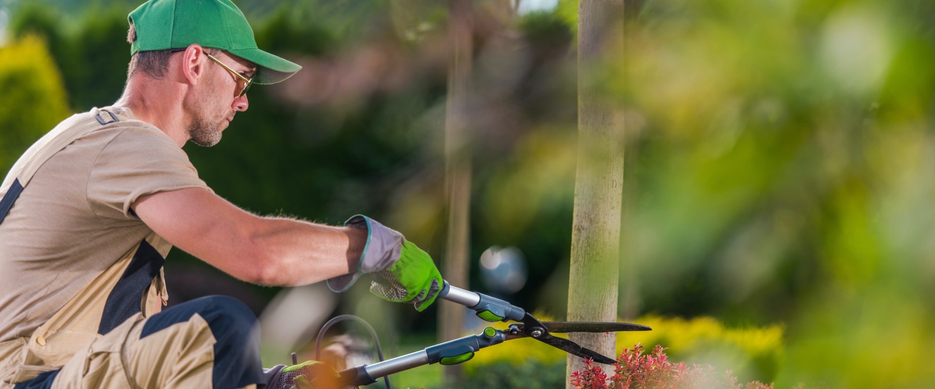 What is the professional name for a tree cutter?