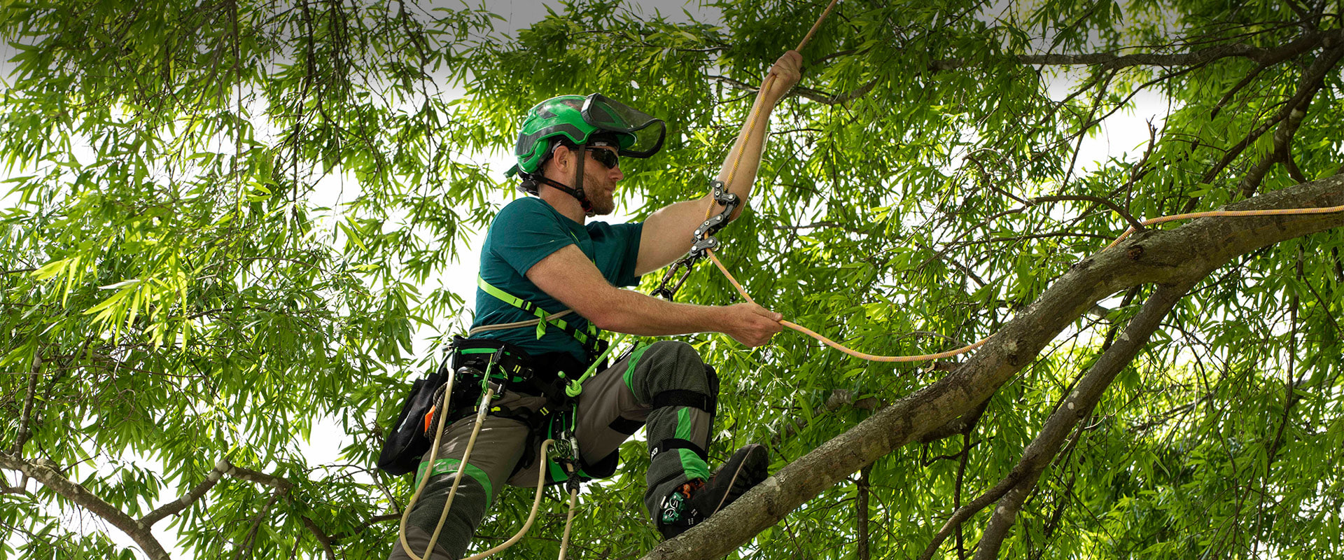 What equipment do arborists use?