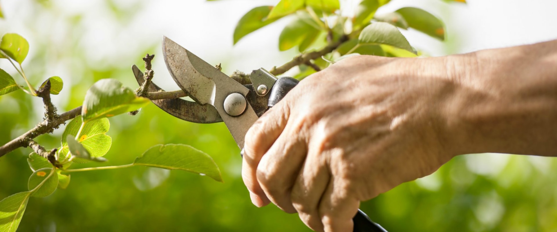 What are the methods of trimming?