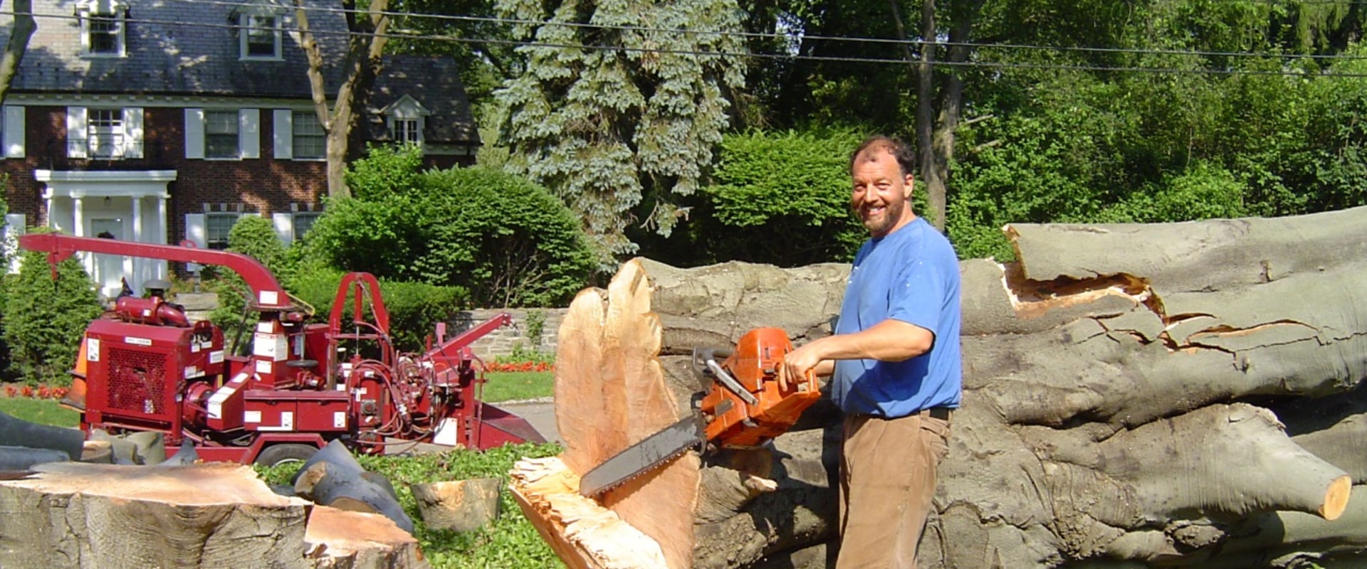 What machine do they use to cut down trees?