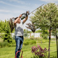 What is the tree service industry called?