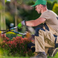 What is the professional name for a tree cutter?