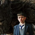 Uncovering the Secrets of Monster Trees