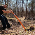 How do professionals remove a tree?