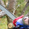What state pays the most for tree service?