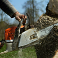 How do you successfully remove a tree?